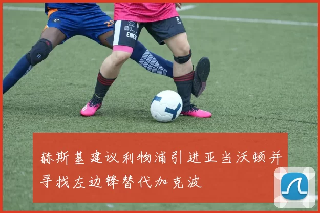 赫斯基建议利物浦引进亚当沃顿并寻找左边锋替代加克波